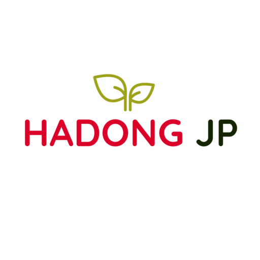 Ha Dong JP