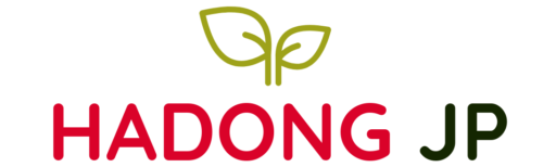 Ha Dong JP
